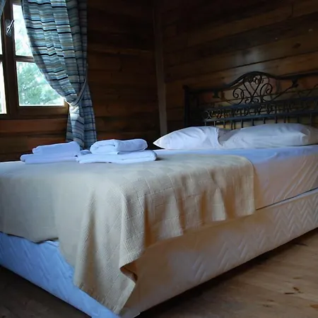 Himalaya Ağva