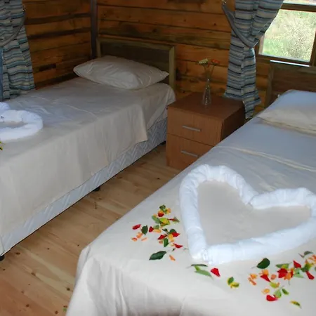 Himalaya * Ağva